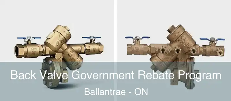  Back Valve Government Rebate Program Ballantrae - ON