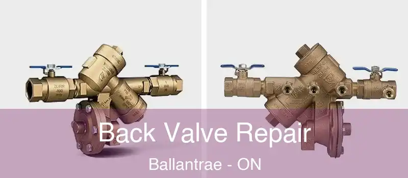  Back Valve Repair Ballantrae - ON