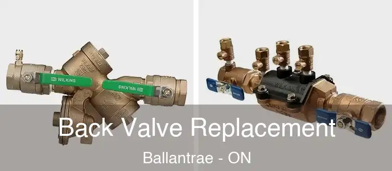  Back Valve Replacement Ballantrae - ON