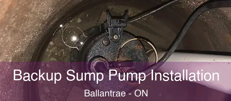  Backup Sump Pump Installation Ballantrae - ON