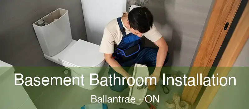  Basement Bathroom Installation Ballantrae - ON