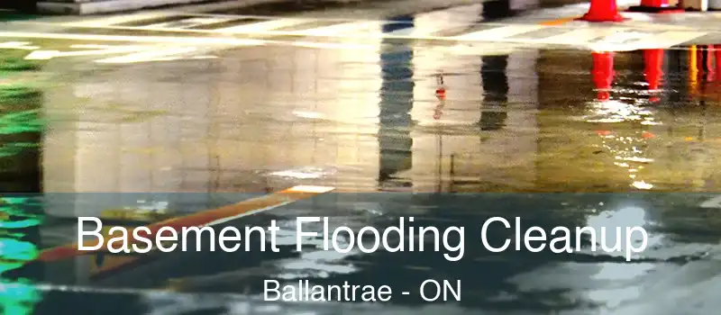  Basement Flooding Cleanup Ballantrae - ON