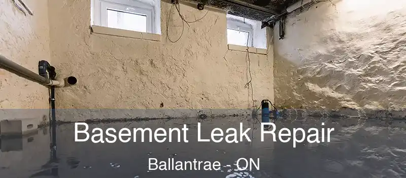  Basement Leak Repair Ballantrae - ON