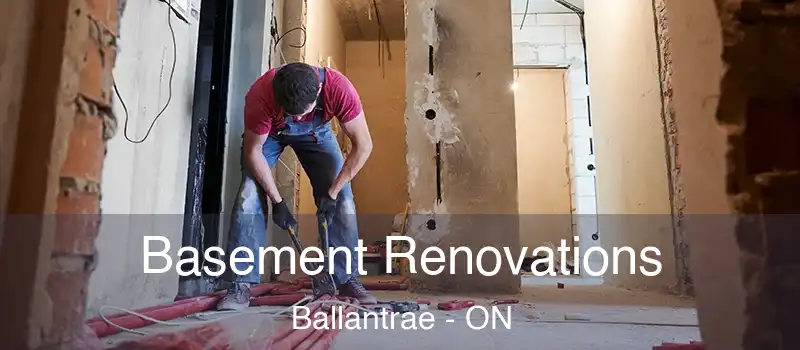  Basement Renovations Ballantrae - ON