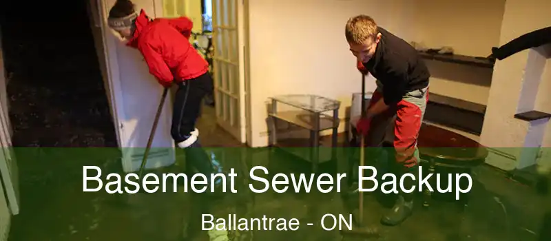  Basement Sewer Backup Ballantrae - ON