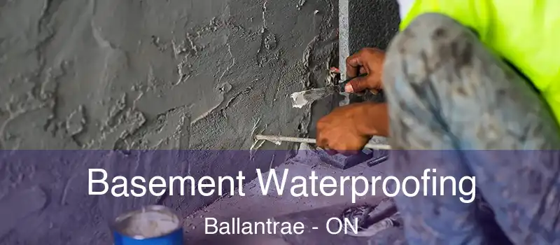  Basement Waterproofing Ballantrae - ON