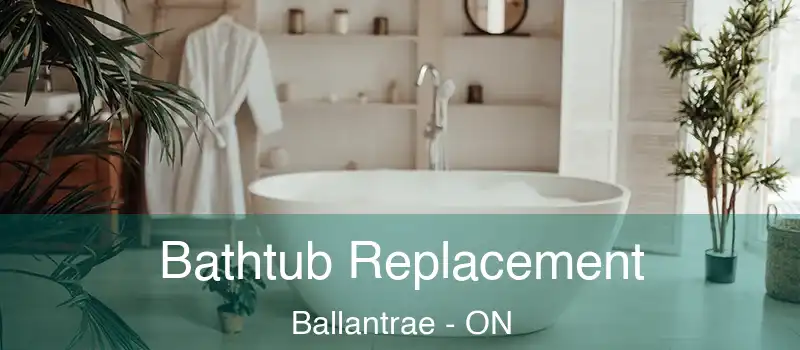  Bathtub Replacement Ballantrae - ON