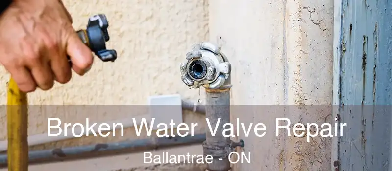  Broken Water Valve Repair Ballantrae - ON