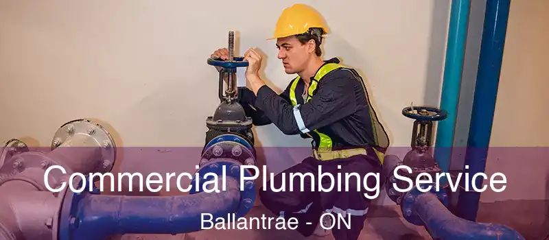  Commercial Plumbing Service Ballantrae - ON