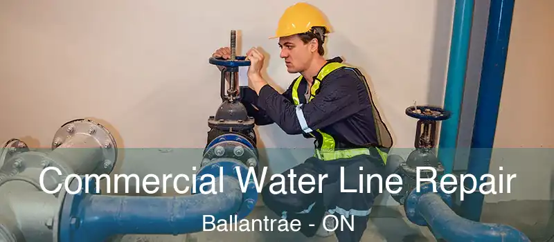  Commercial Water Line Repair Ballantrae - ON