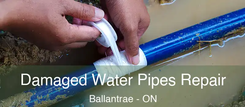  Damaged Water Pipes Repair Ballantrae - ON