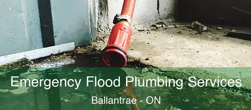 Emergency Flood Plumbing Services Ballantrae - ON