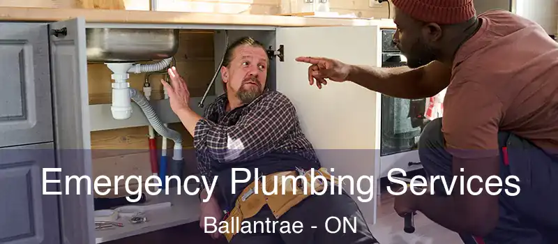 Emergency Plumbing Services Ballantrae - ON