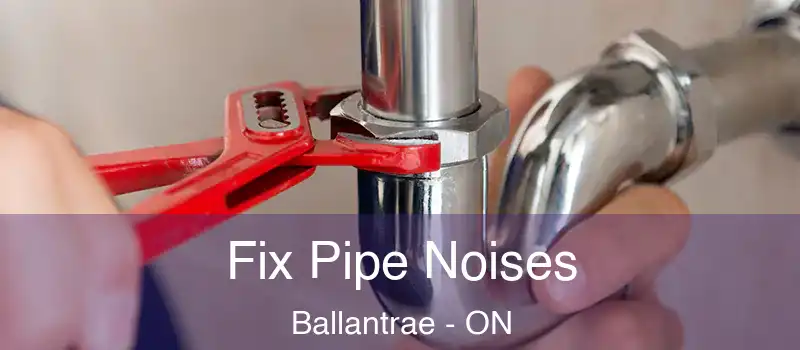  Fix Pipe Noises Ballantrae - ON