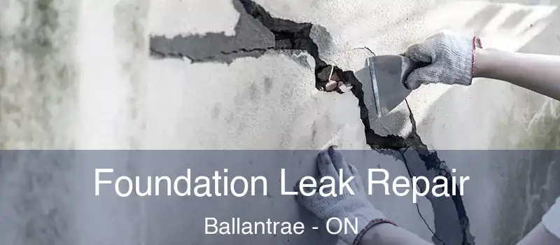  Foundation Leak Repair Ballantrae - ON