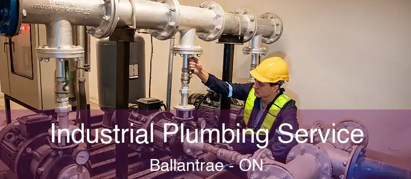  Industrial Plumbing Service Ballantrae - ON