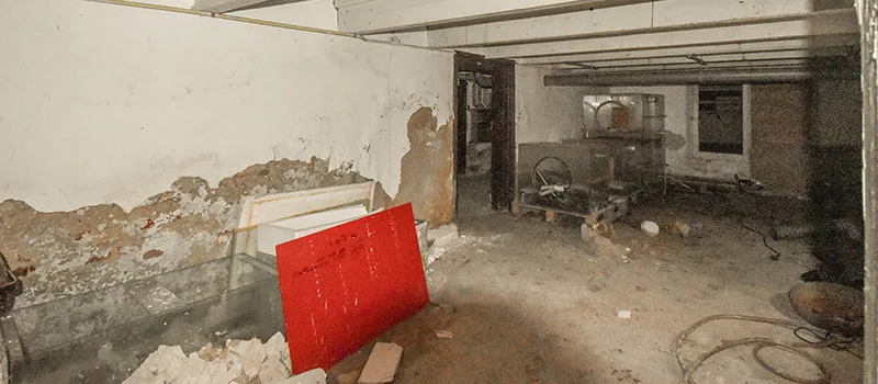 Home Basement Renovation in Ballantrae, Ontario