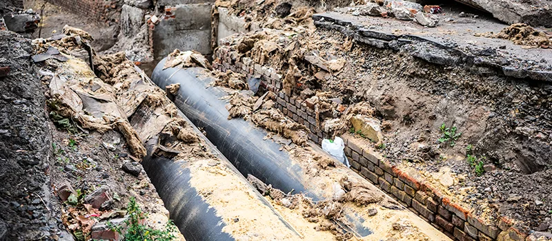 Commercial Sewer Tree Roots Damage Solutions in Ballantrae, ON