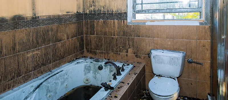 Residential Water Damage Restoration in Ballantrae, ON