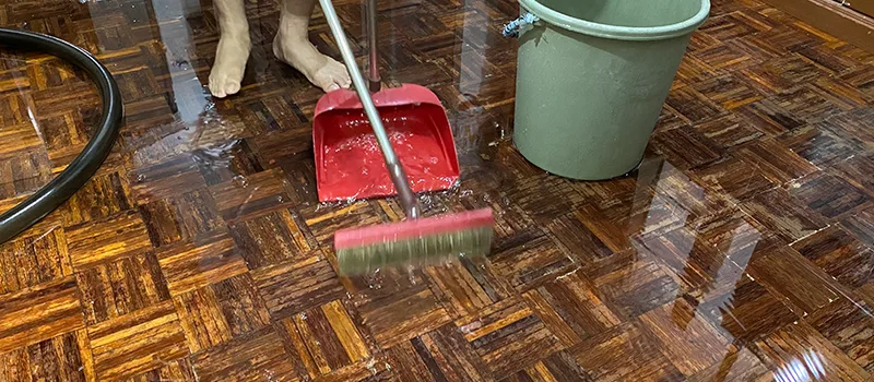 Water Removal And Restoration Services in Ballantrae, ON