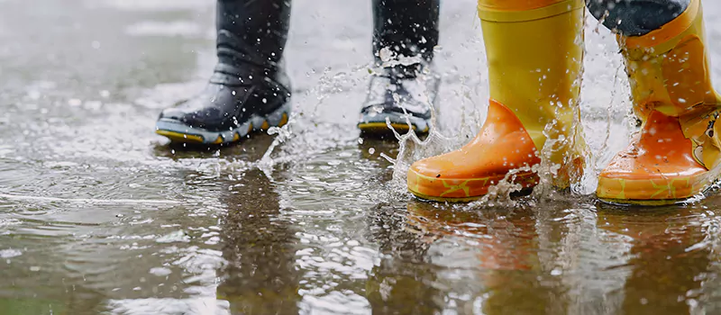 Emergency Flood Recovery Plumbing Services in Ballantrae, ON