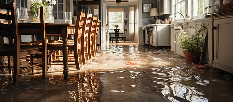 Flooded House Help Near Me in Ballantrae, Ontario