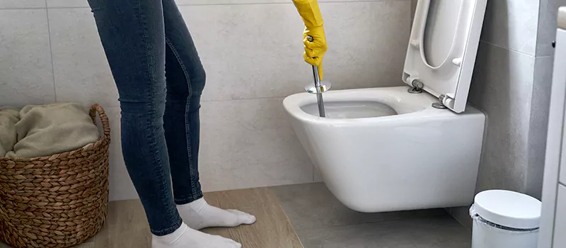 Toilet Flush Valve Installation Services in Ballantrae, ON