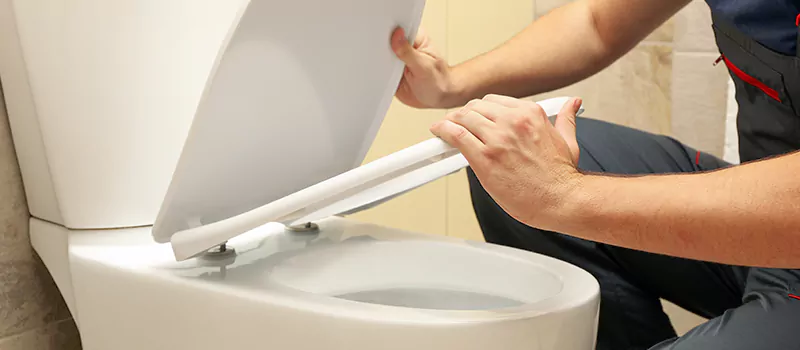 Damaged Toilet Parts Replacement Services in Ballantrae, ON