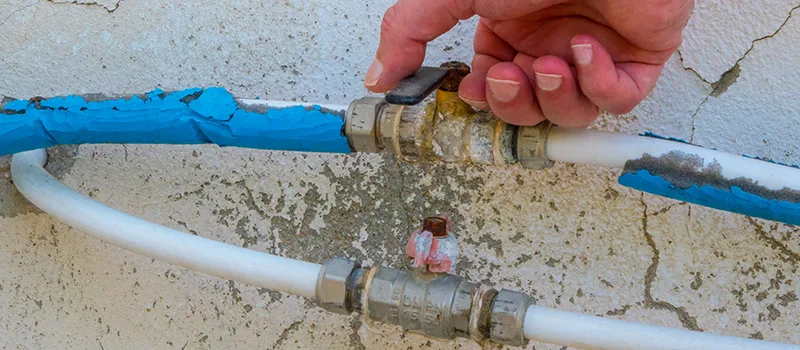 Ceiling Water Damage Repair in Ballantrae, Ontario