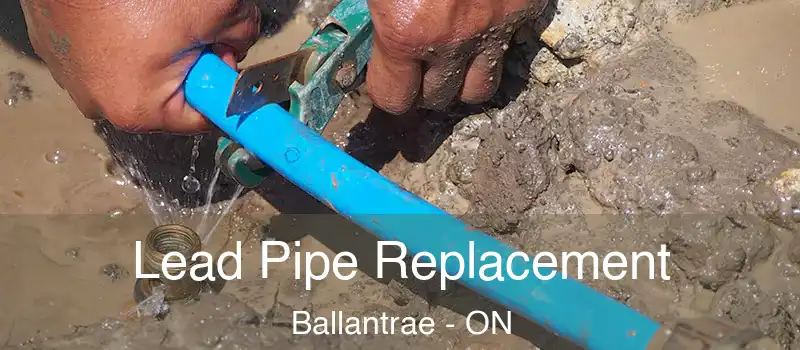  Lead Pipe Replacement Ballantrae - ON