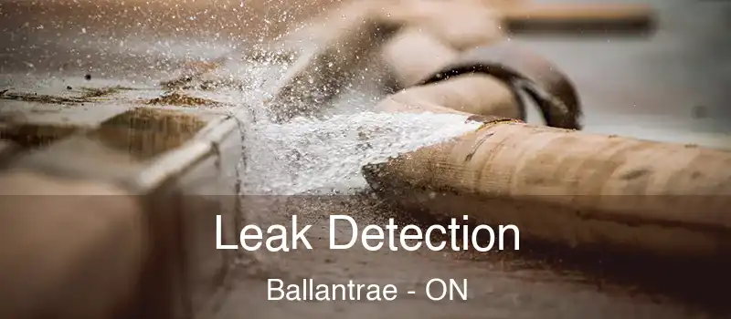  Leak Detection Ballantrae - ON