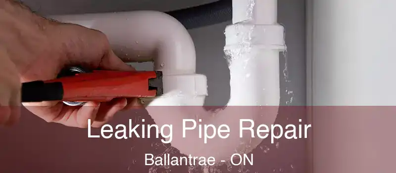  Leaking Pipe Repair Ballantrae - ON