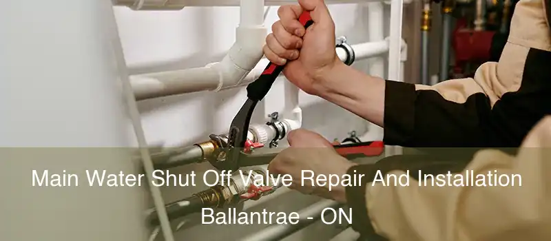  Main Water Shut Off Valve Repair And Installation Ballantrae - ON