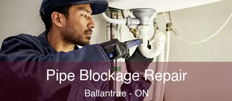  Pipe Blockage Repair Ballantrae - ON