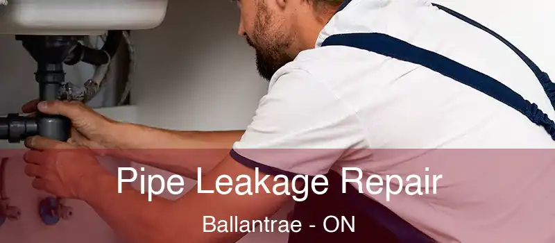  Pipe Leakage Repair Ballantrae - ON
