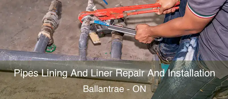  Pipes Lining And Liner Repair And Installation Ballantrae - ON