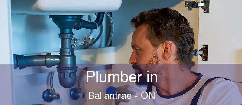  Plumber in Ballantrae - ON
