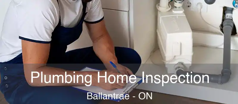  Plumbing Home Inspection Ballantrae - ON