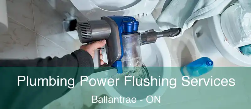  Plumbing Power Flushing Services Ballantrae - ON