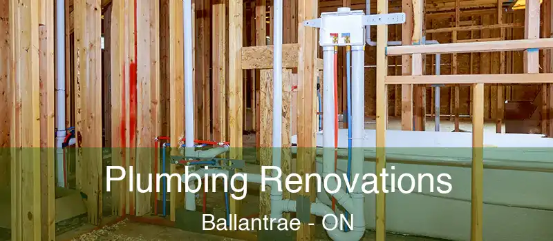  Plumbing Renovations Ballantrae - ON