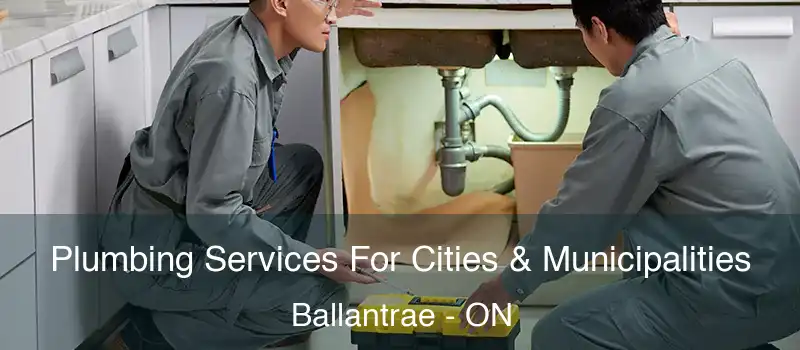  Plumbing Services For Cities & Municipalities Ballantrae - ON