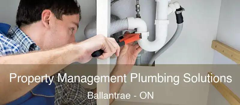  Property Management Plumbing Solutions Ballantrae - ON