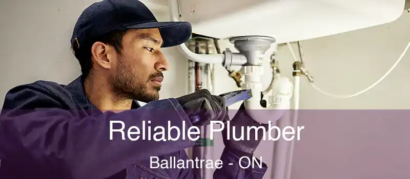  Reliable Plumber Ballantrae - ON