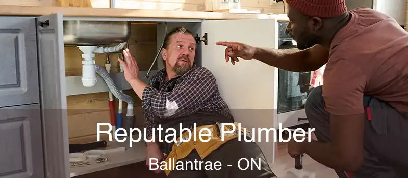  Reputable Plumber Ballantrae - ON