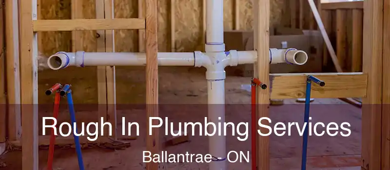  Rough In Plumbing Services Ballantrae - ON