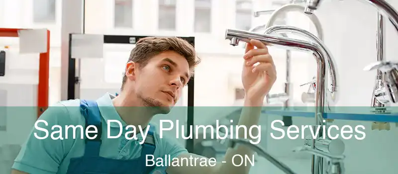  Same Day Plumbing Services Ballantrae - ON
