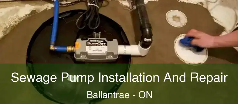  Sewage Pump Installation And Repair Ballantrae - ON