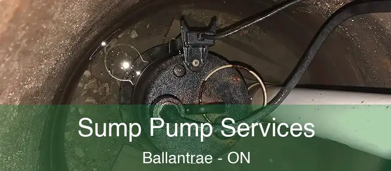  Sump Pump Services Ballantrae - ON