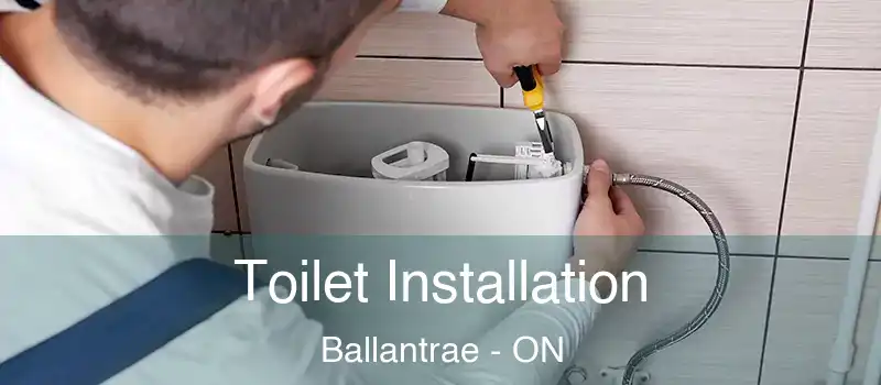  Toilet Installation Ballantrae - ON