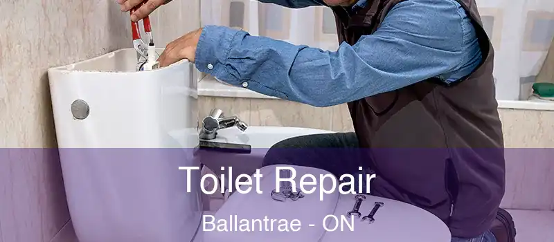 Toilet Repair Ballantrae - ON
